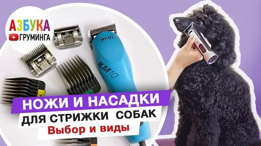 Download Video: Смена ножа для стрижки собак, насадки на машинку