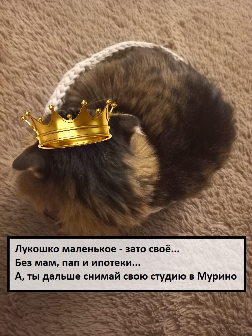 Коренной петербуржец