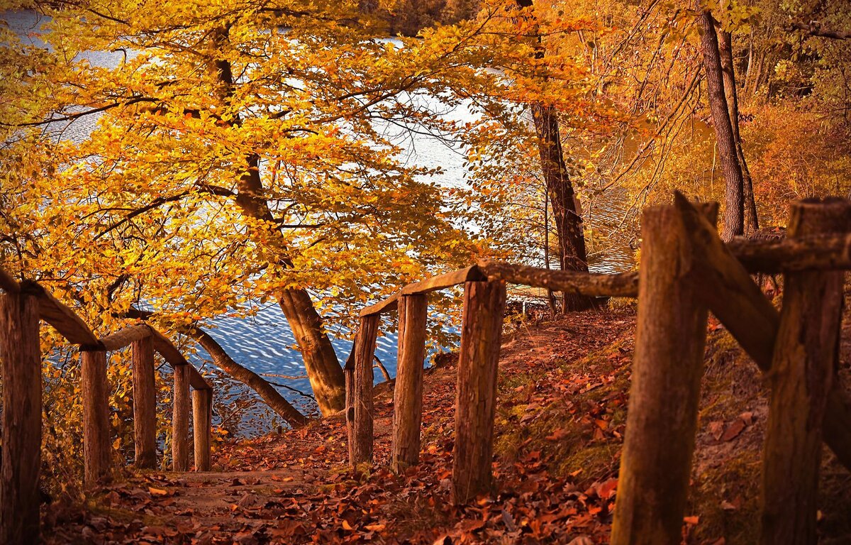 фото: https://pixabay.com/ 