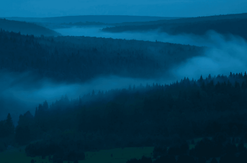 Ради заката мы и забрались на вершину скалы. Туман плыл, полз по реке. Фото: Иван Дементиевский