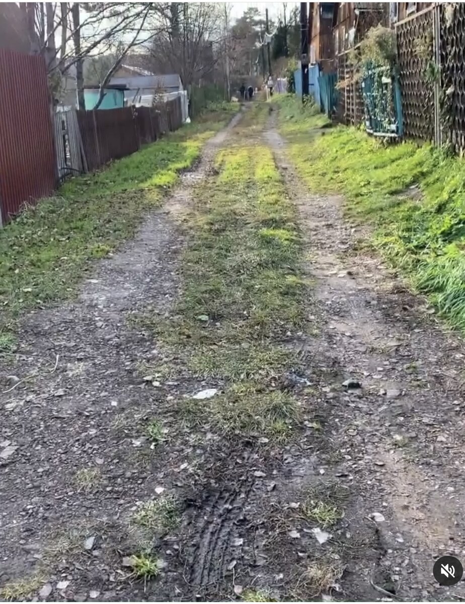 Дорога по дачному массиву родственников.