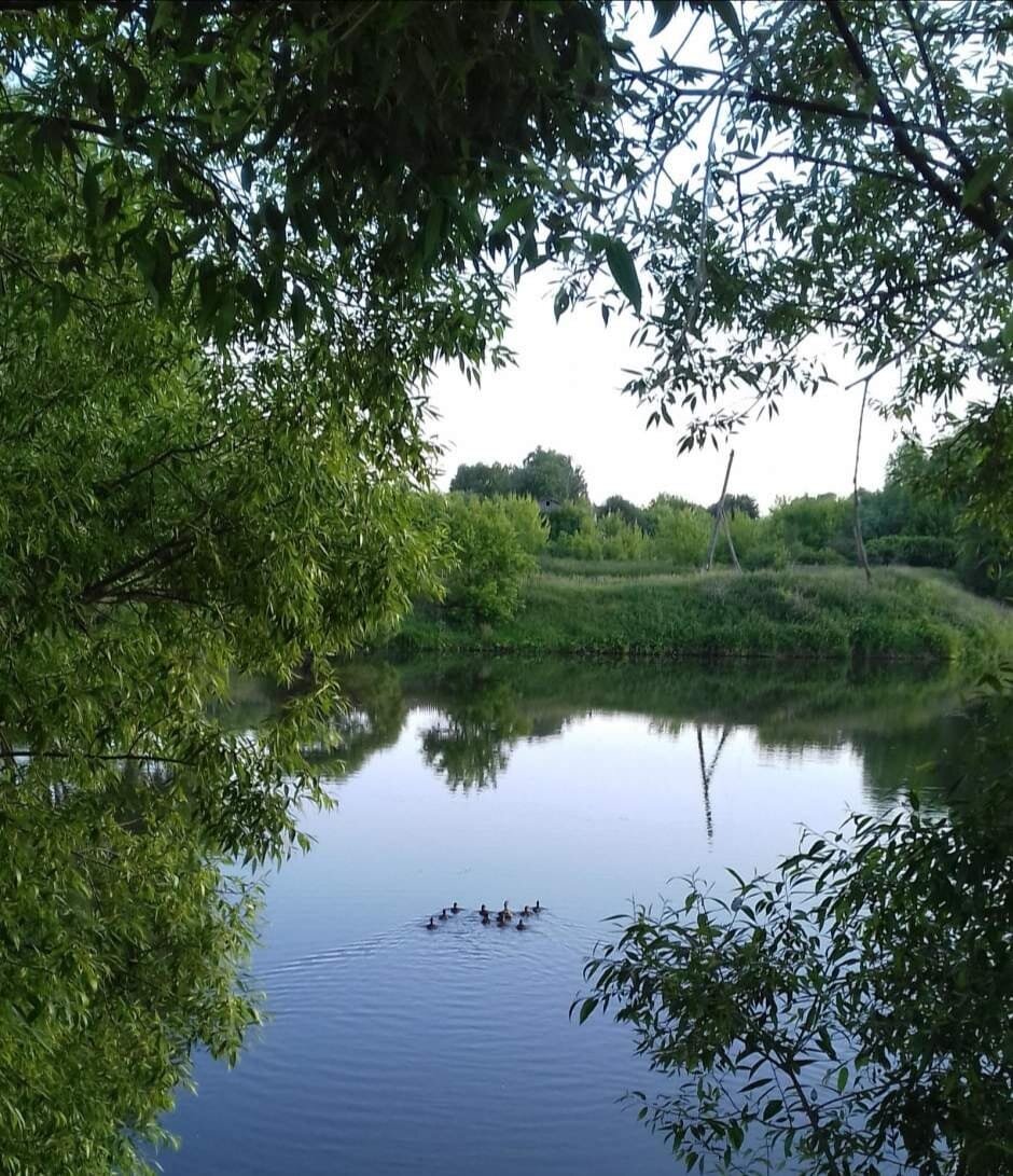 Пруд в селе Малый Студенец Сасовского района
