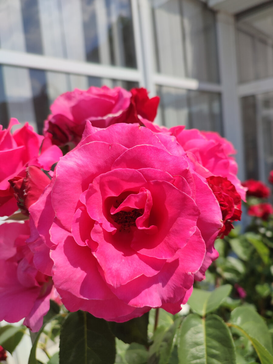 Пахнет ванилью с молоком