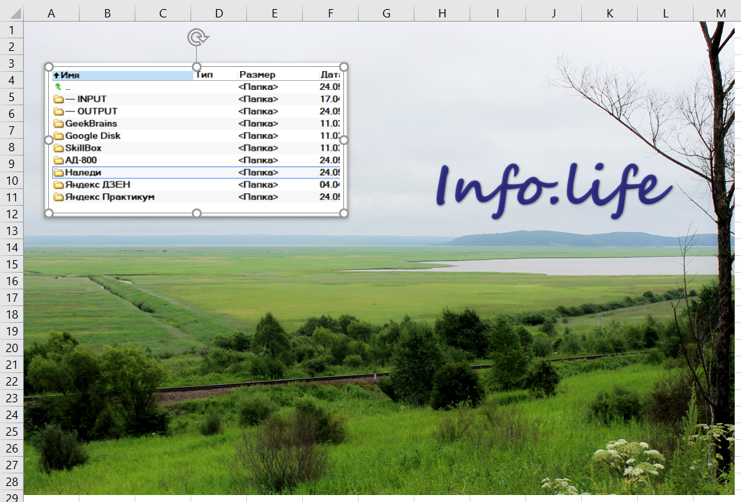 Задание к статье: найдите лишнюю папку