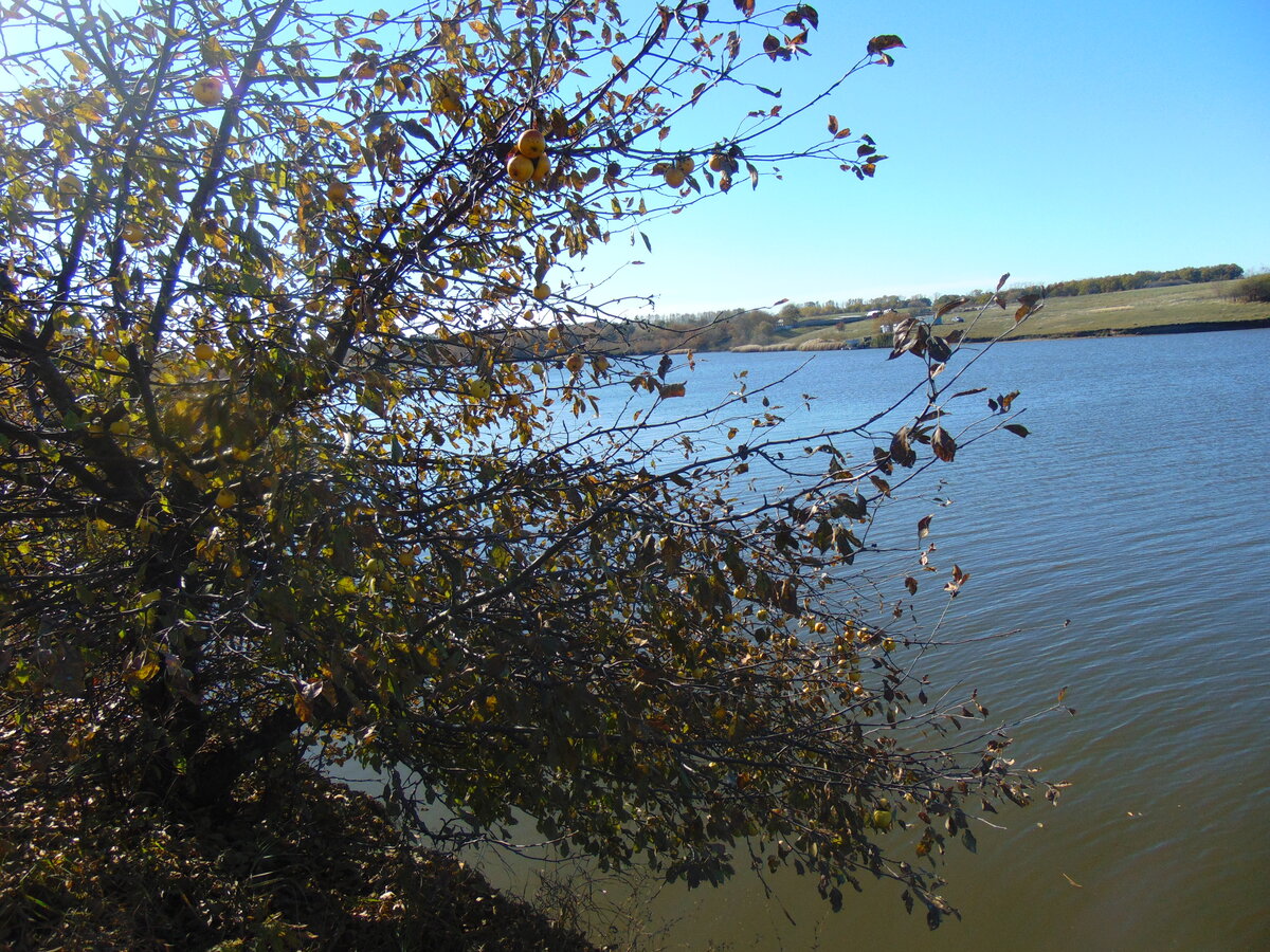 Фото автора канала