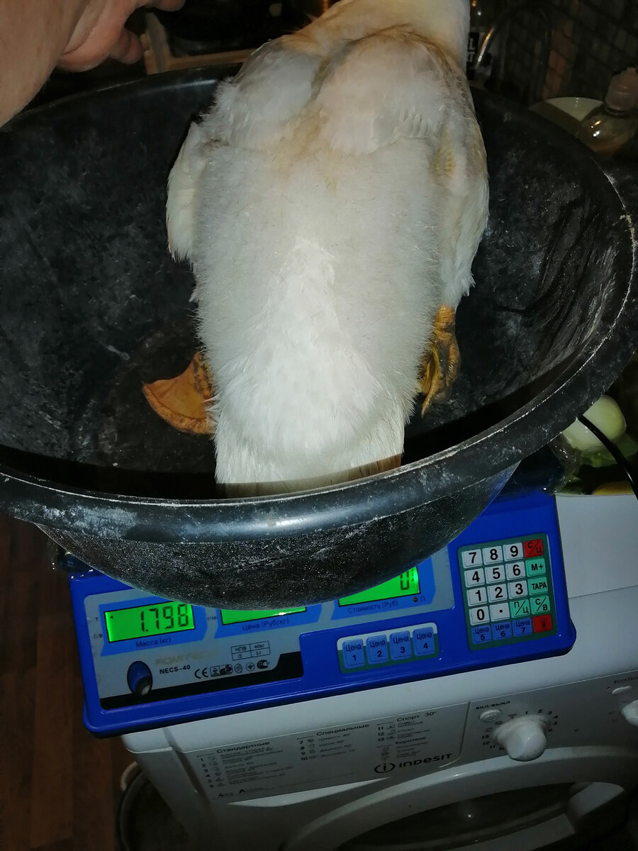 -2