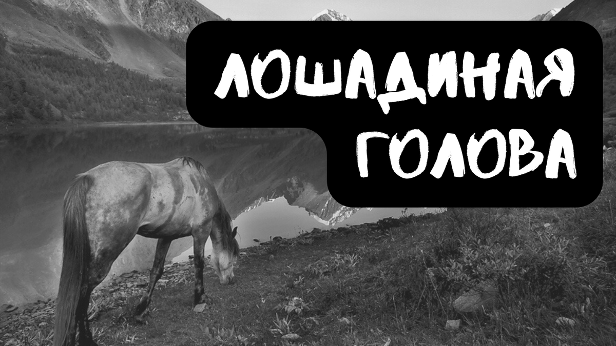 Не забудь подписаться, поставить лайк и написать все, что ты думаешь об истории и ее героях в комментариях