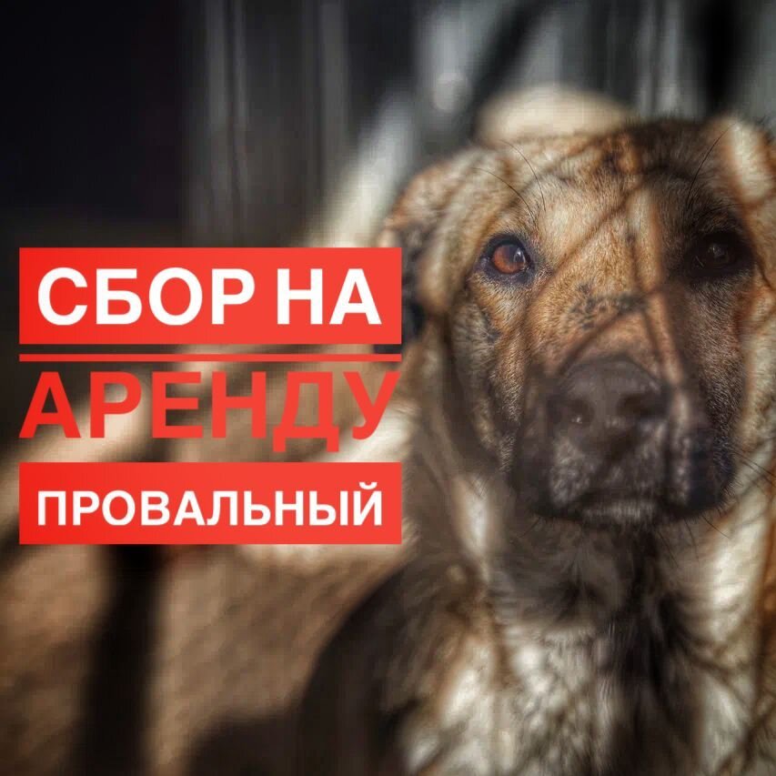 мы близки к закрытию 