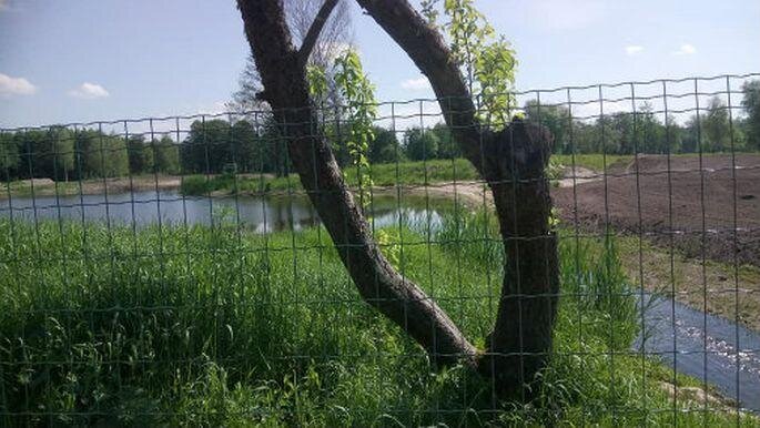 примерно так это может выглядеть 