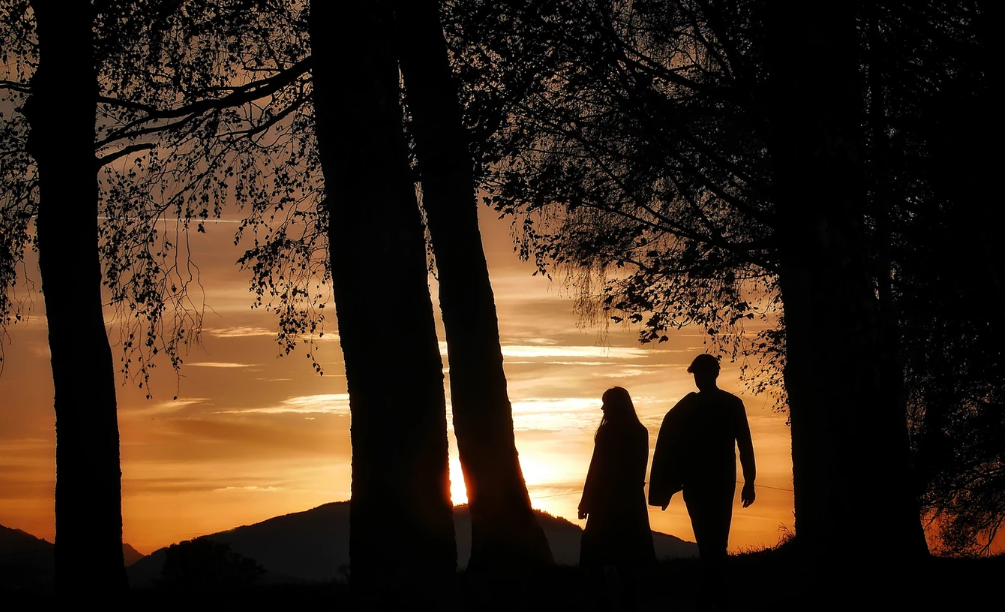 для иллюстрации