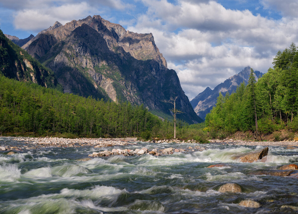 Middle river. Кодар. Река средний Сакукан. Кодарские горы. Лес фон.