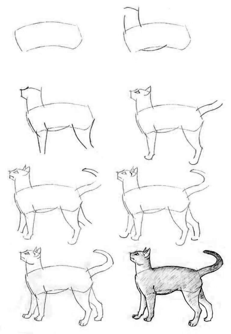 кошка рисунок карандашом поэтапно