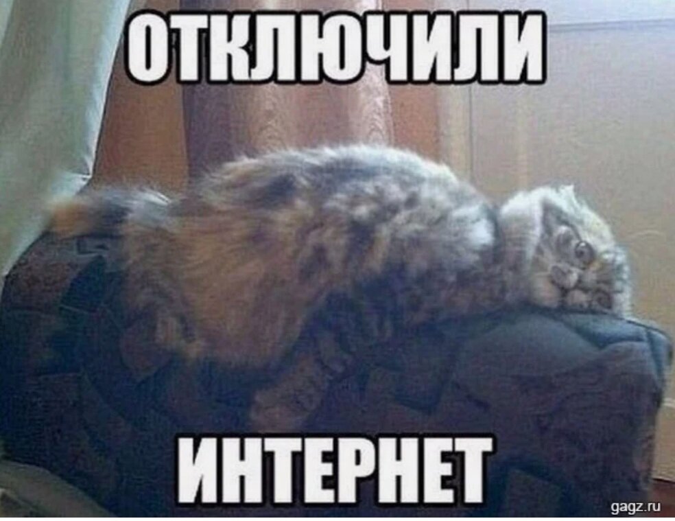 Картинка внуки уехали