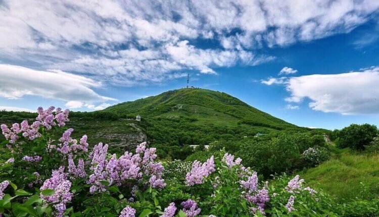 Фото: из открытых источников