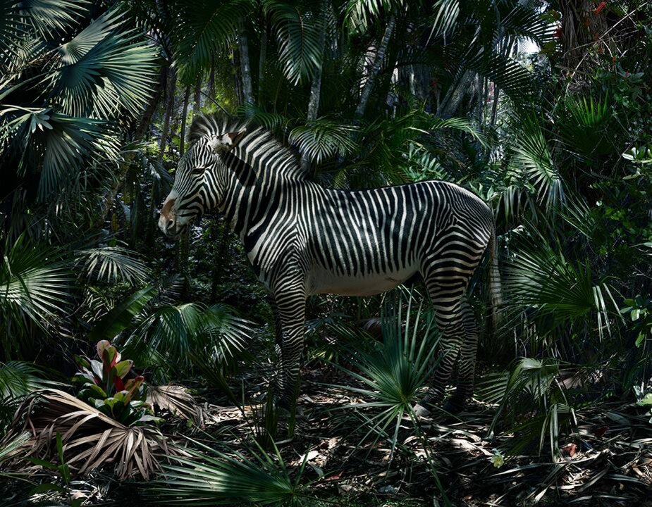 ©  Simen Johan  /  Симен Йохан