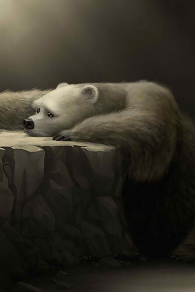 ФОТО С ПРОСТОРОВ ИНТЕРНЕТА