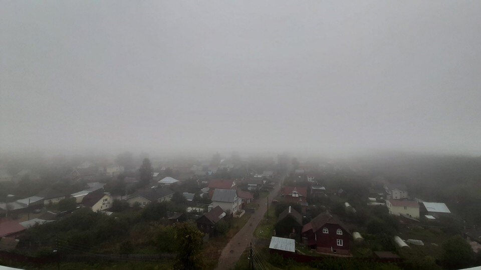     Фото: Тамара Сегал