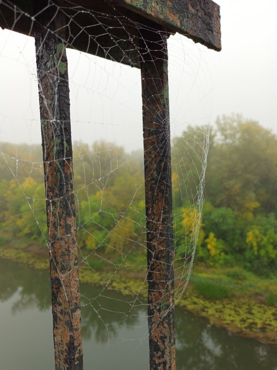 Фото Татьяна Автаева