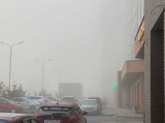     фото читатели мк