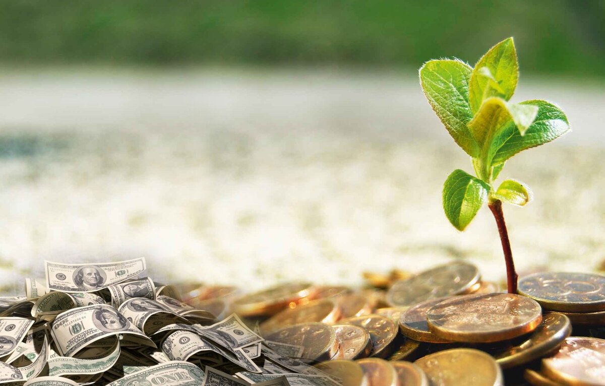 фото из сети