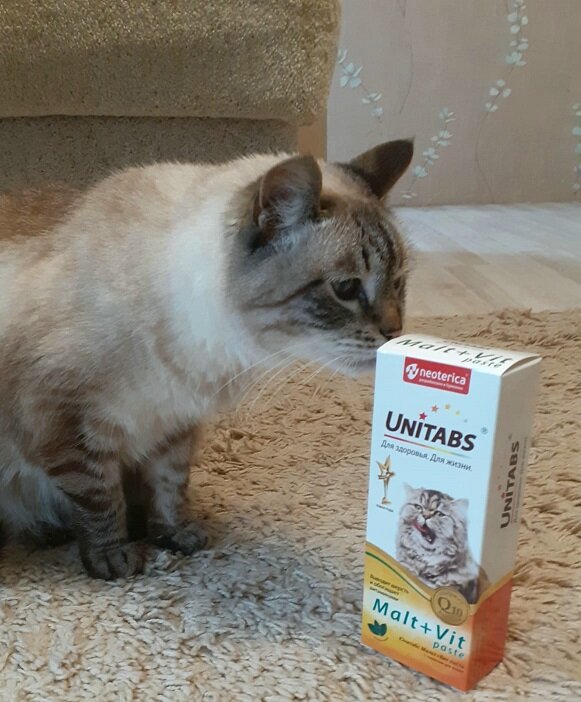 -А это точно мне можно? 