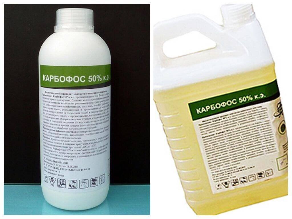 Перед использованием таких препаратов внимательно ознакомьтесь с инструкцией по применению