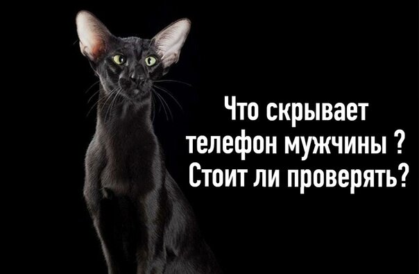 Стоит ли контролировать мужчину и залезать в его телефон без спроса?