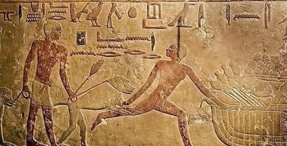 Фото Яндекс Картинки