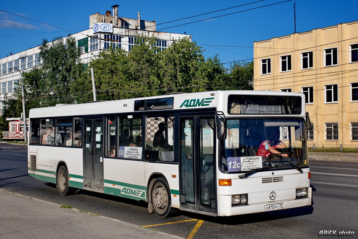 Красное&Белое: Новый брендинг общественного транспорта Владимира |  Troll&Bus | Дзен