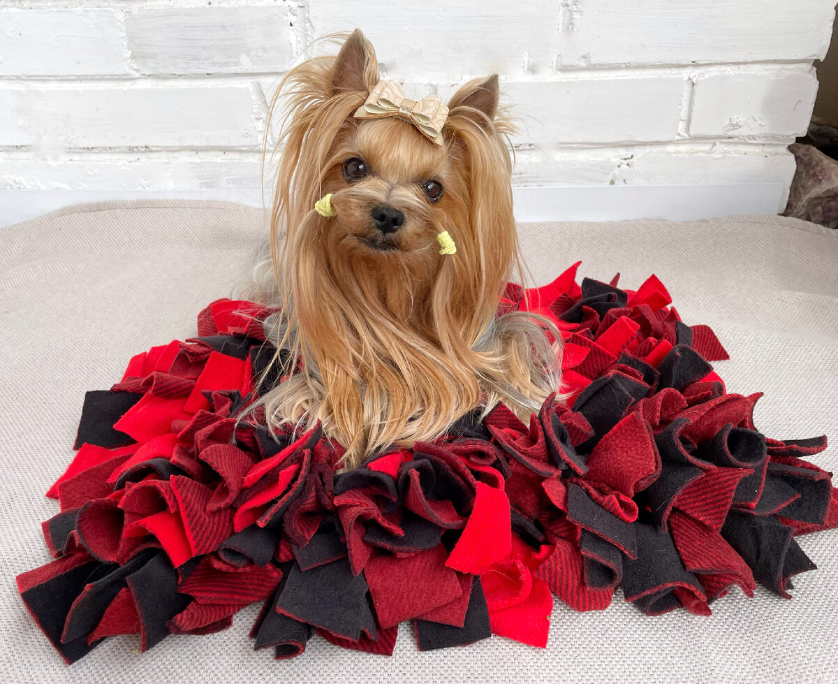 Люси обожает искать вкусняшки на таком коврике . 