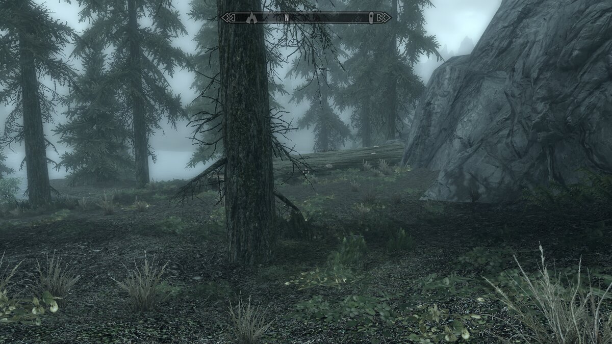 Видишь секиру? А она есть. Раньше рядом с ней валялся труп лесоруба, которому она и принадлежала, но теперь наш топор прям вообще суслик.