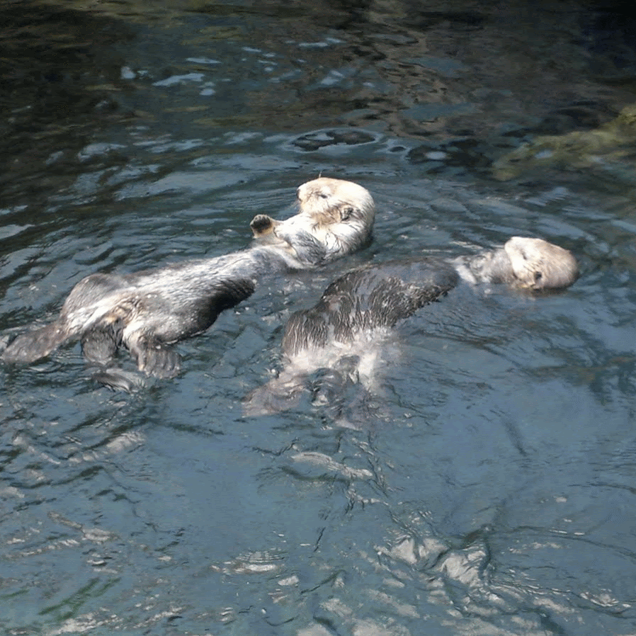 Лиссабон. Португалия