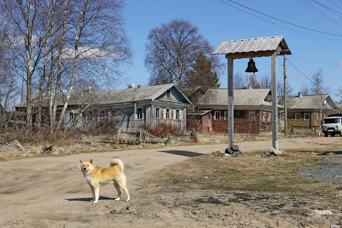 В ГОСТЯХ У ПОМОРОВ. СТАРИННАЯ КОЛЕЖМА | Путешествия с собаками | Дзен