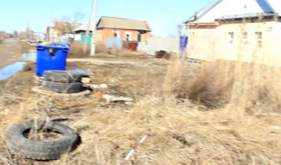 Фото из открытого доступа сети Интернет