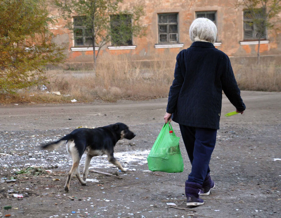 Фото Дмитрия Бикбова 