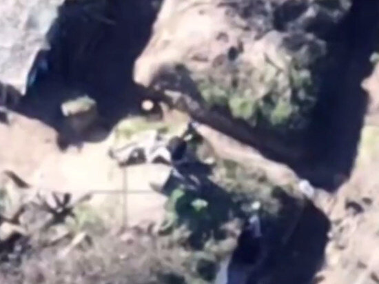     Фото: Кадр из видео.