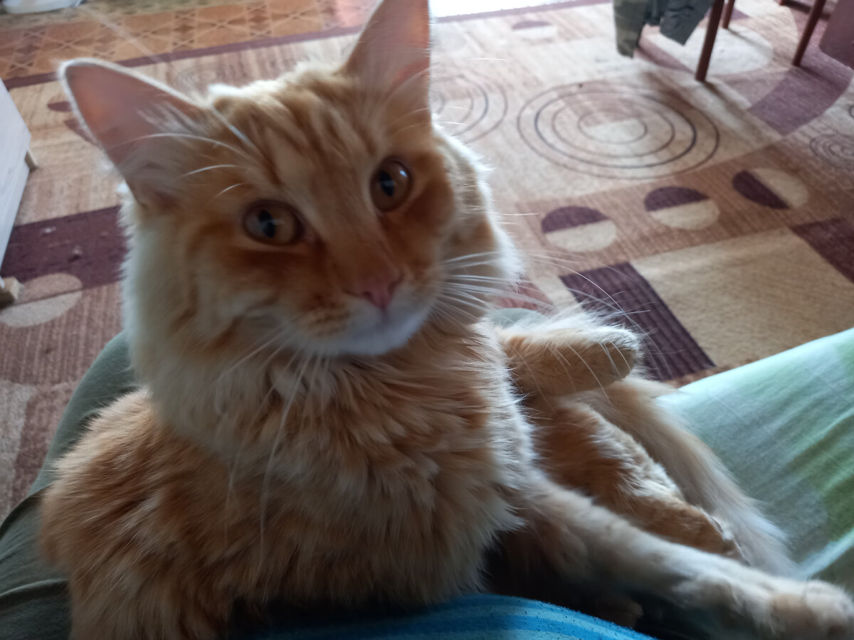 то же мое хозяйство