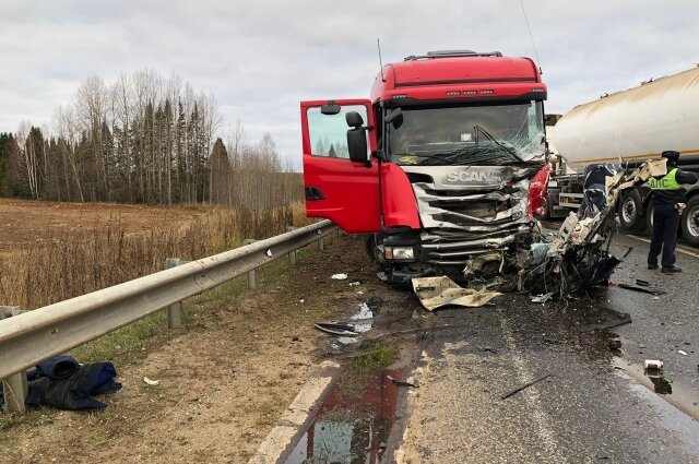    Фото: УГИБДД по Удмуртской Республике