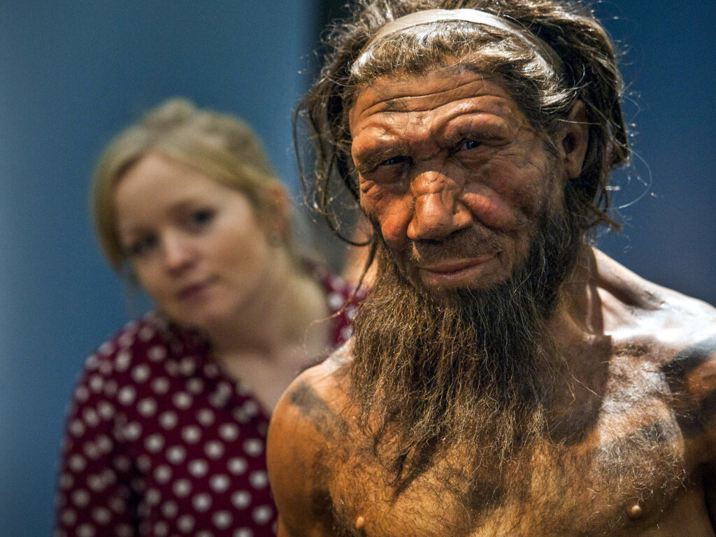Иллюстрация с сайта https://naked-science.ru/article/anthropology/neandertaltsy-mogli-vosprinimat-i-vosproizvodit halensis)
