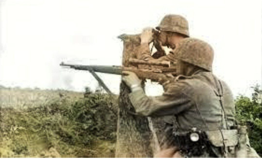  Источник фото: яндекс картинки (восстановленное автором)  