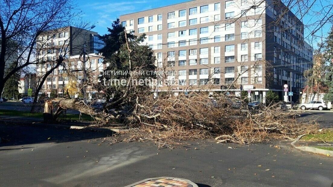     О первых последствиях непогоды в городе рассказали в соцсетях местные жители.