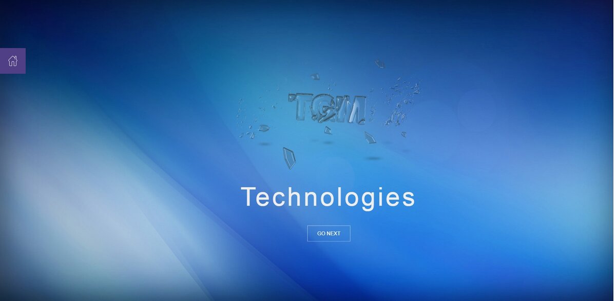 3 сайт визитка TGM Tech