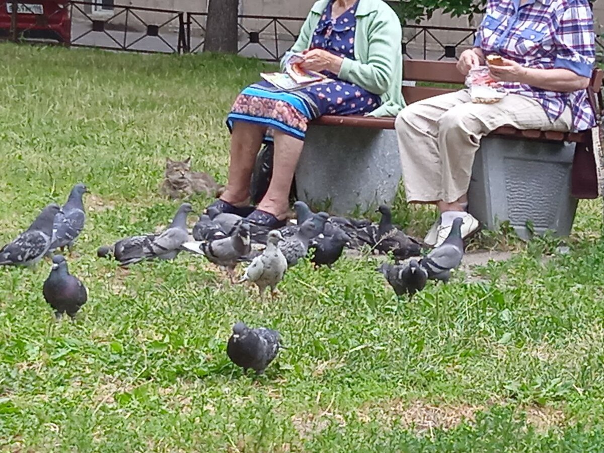 Предпенсионеры: как им оформить досрочную пенсию через Центр занятости ...