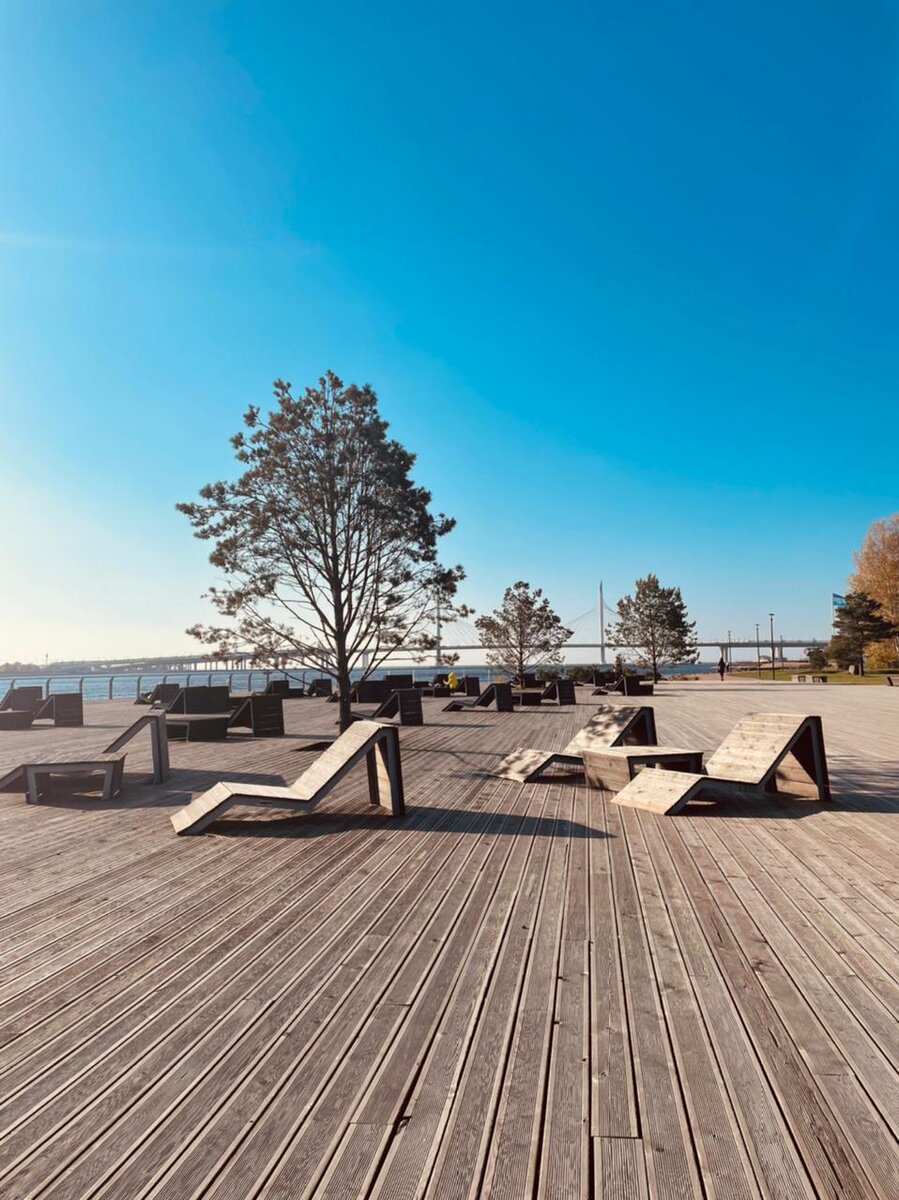 Южная дорога