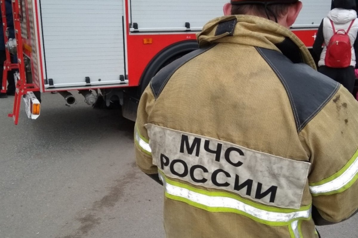    14 сотрудников МЧС из Новосибирской области отправились на спецоперацию