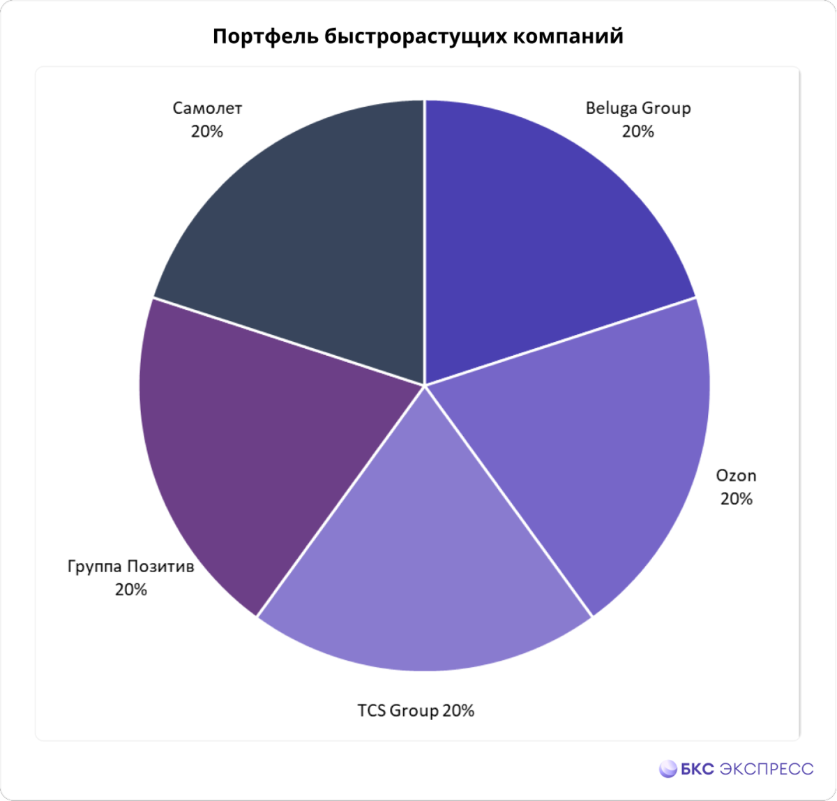 Инвестиционный портфель. Самые быстрорастущие отрасли. Компании из Росси. Портфель акций. Бкс портфель