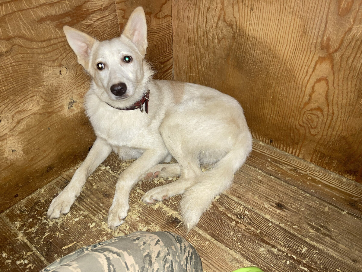 #Ронна_Кожухово