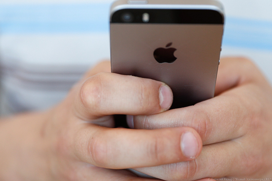 Фото: Виталий Невар / Новый Калининград