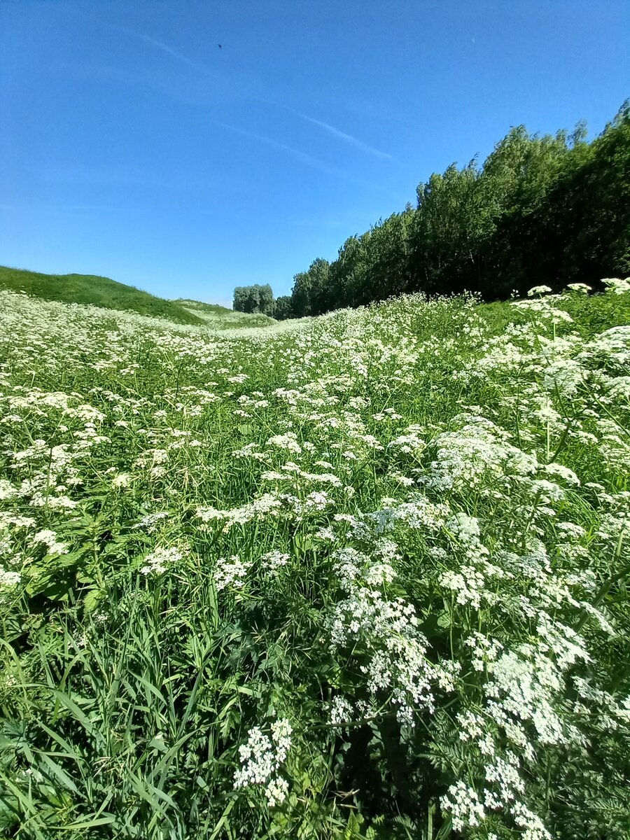 Фото: Татьяна Черн