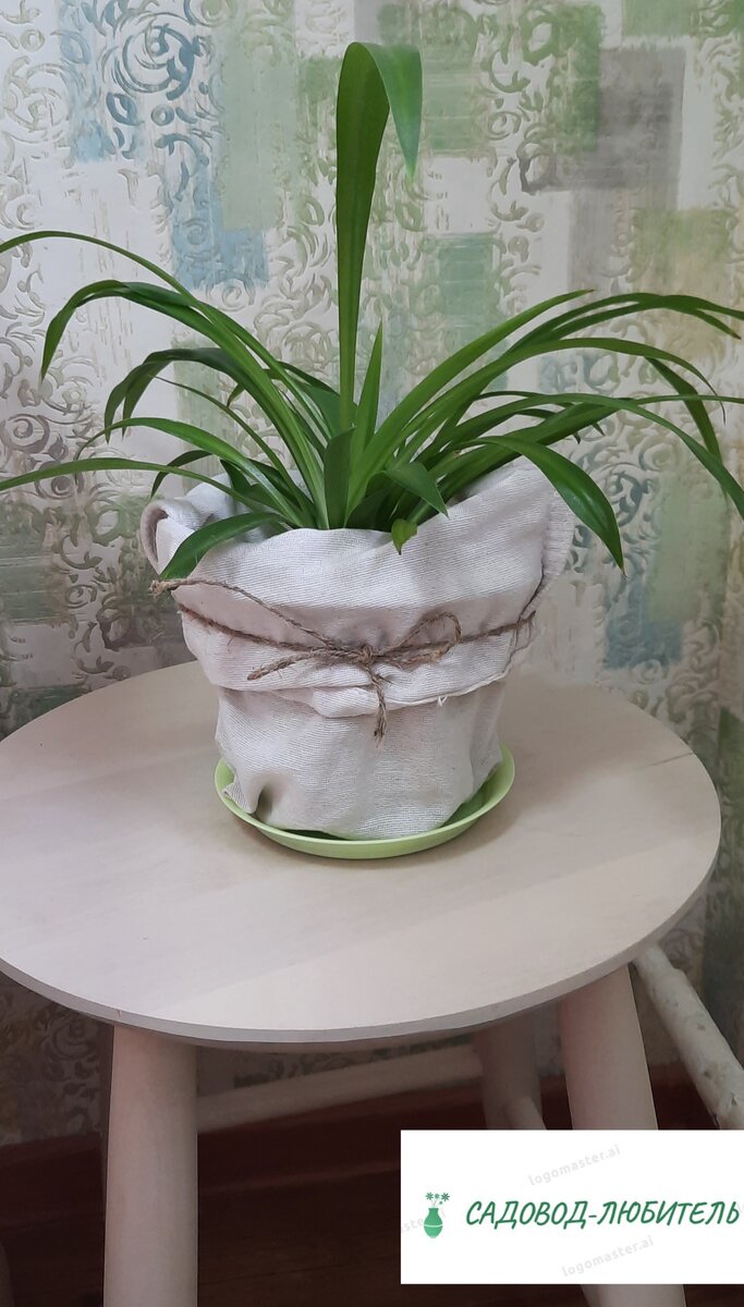 Обычный пластиковый горшок в мешке, перевязанный жгутом.